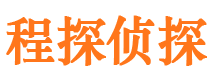 阆中市调查公司